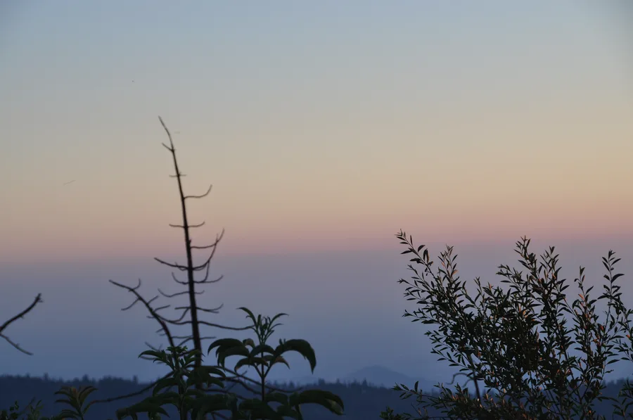 California Bay Area