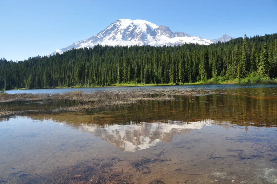 Washington State